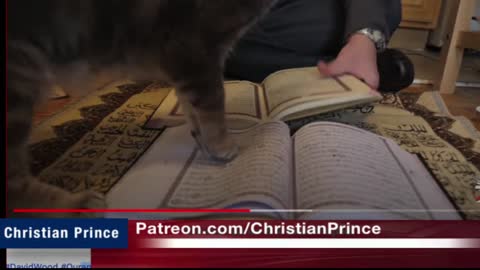 Why Cats can´t walk on the quran