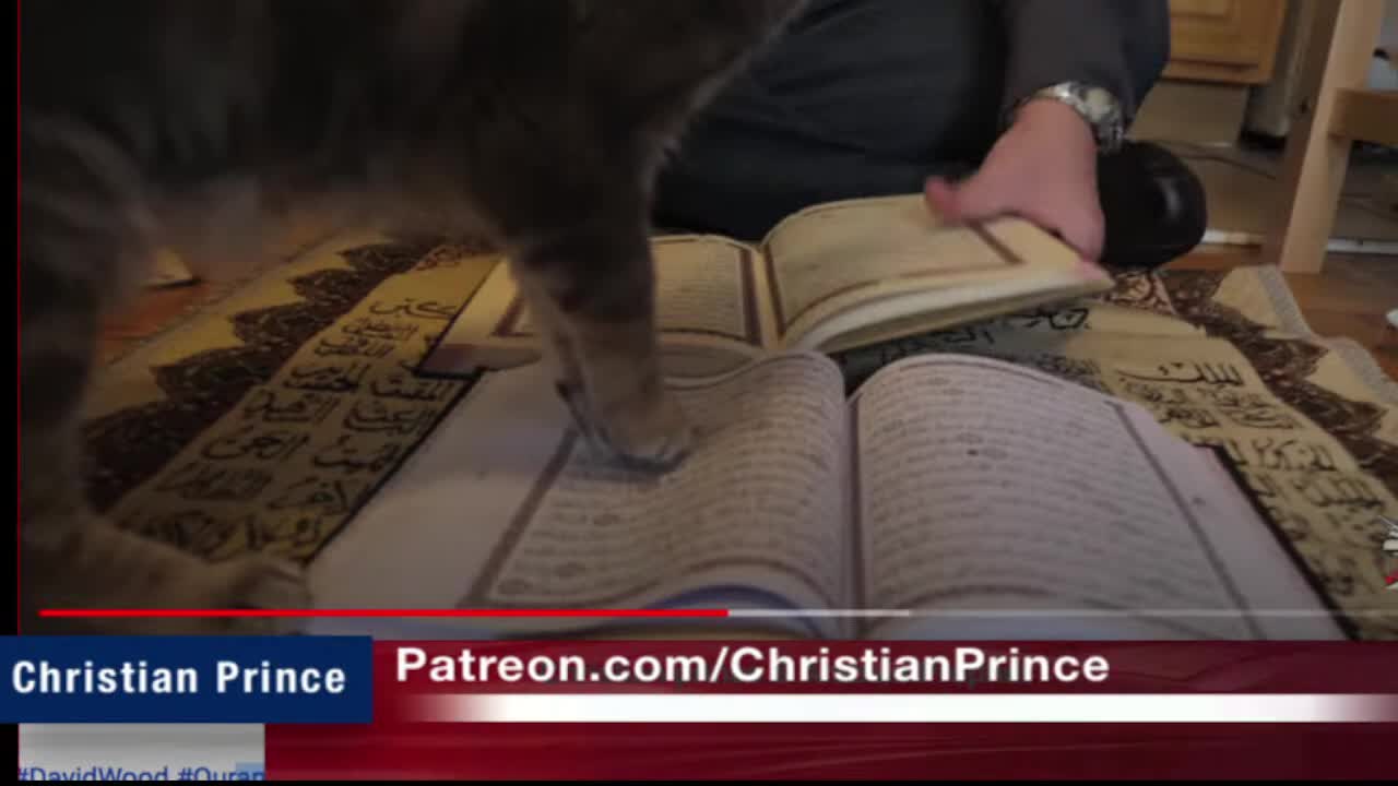 Why Cats can´t walk on the quran