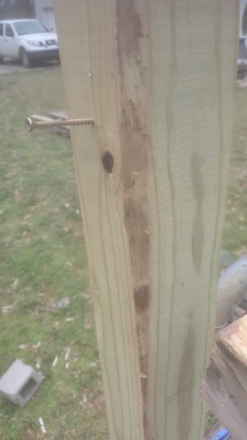 Chicken pin build part 2.