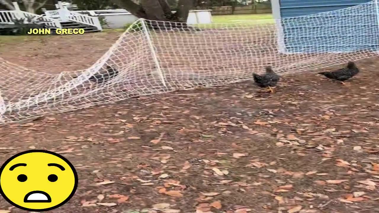 ΨΕΥΤΙΚΟΣ ΚΟΣΜΟΣ👉(#MATRIX)🔥👀 (ΚΟΛΛΑΕΙ... Το Προγραμμα)👀