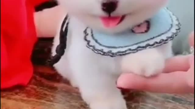 Baby dog cute and funny