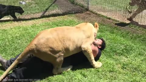 Animals Reunited With Owner After Years