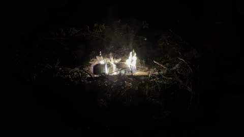 Fire pit 03JUN24 7