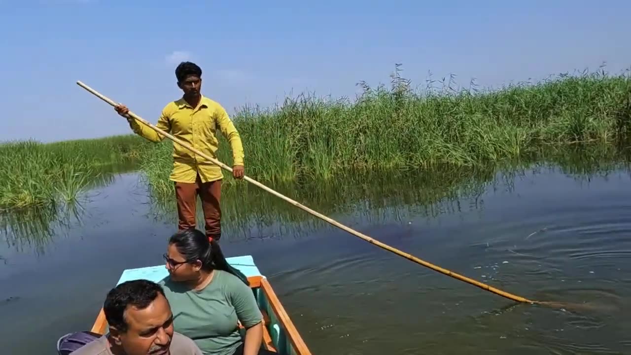 Nal Sarovar Bird Sanctuary Video