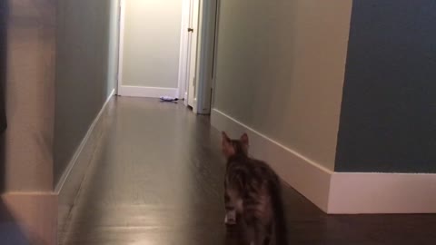 Case plays fetch with a giant plush fish!