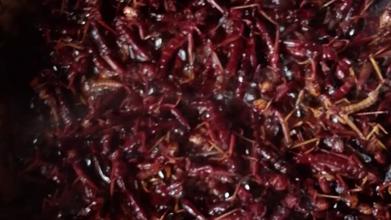 Delicious food.Help follow me please thank you