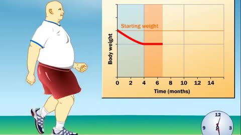 How Does Exercise Impact Weight Loss? Get Quickly Weight Loss