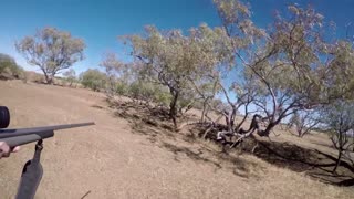 Outback Pig Hunting