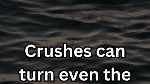 Crush Fact III