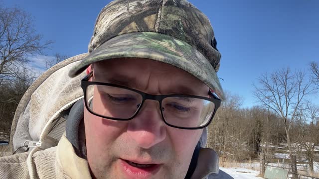 Bee Poop in the Snow Nice Day For A Cleansing Flight