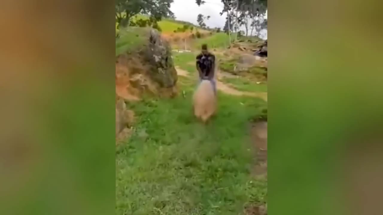 Funny Cute laughing video 😂