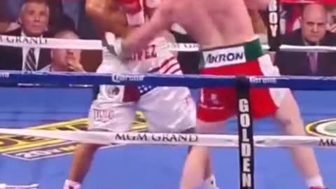 #caneloalvarez