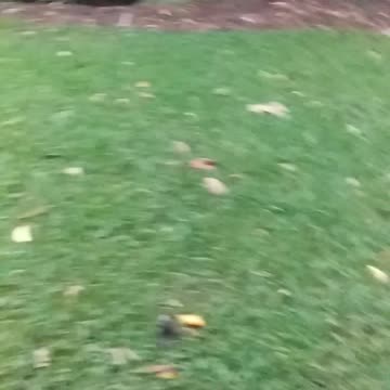 19.9.2024 #rubbishtown