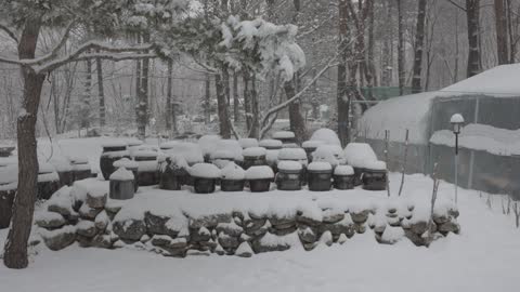 Pyeongchang in the snow