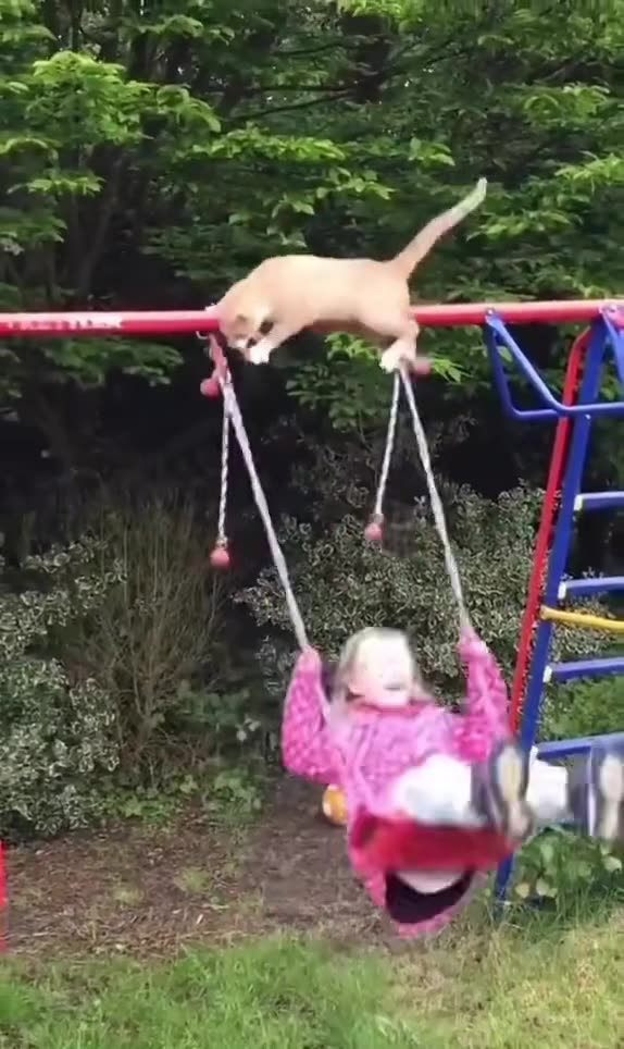 Cat Swing Fail