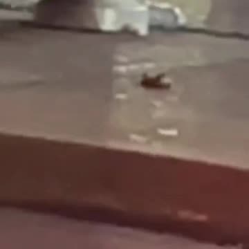 💩🚽 in the streets