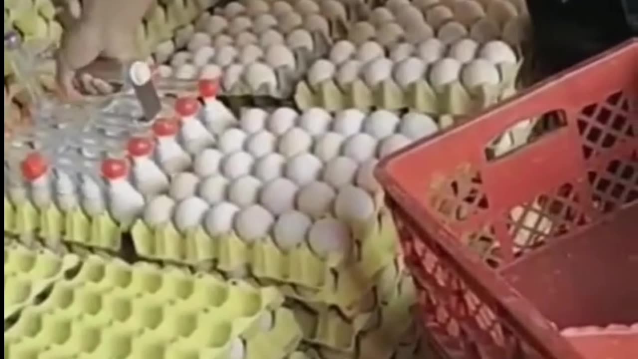 Amazing Machines Working And Manufacturing Process 😋