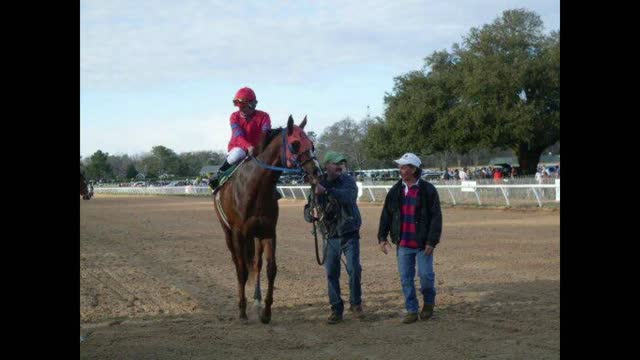 Some of my life and my brothers life of Thoroughbred Horse Racing