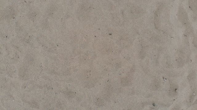 Quadrocopter flies over the beach