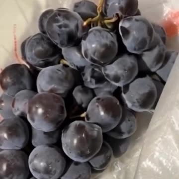 Oh My God😰Wait for and😳Smallest Magical Kitten Ever Imagined😂 #viralcontent #shorts #animals #kitten