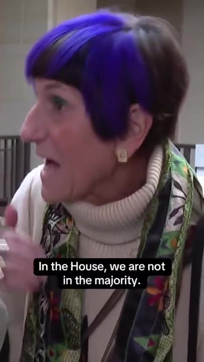 Blue-Haired Democrat Freaks Out After Elon Musk Got In The Way Of Spending Bill
