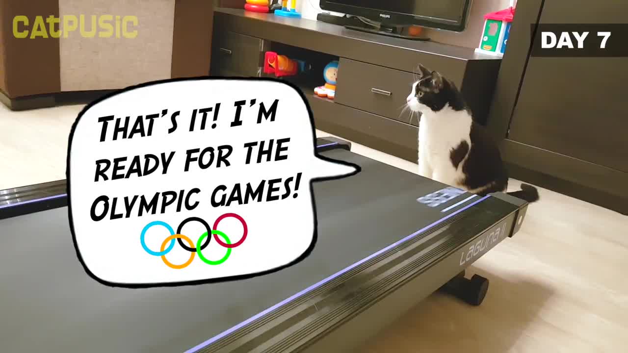 Why am not at the Olympic?