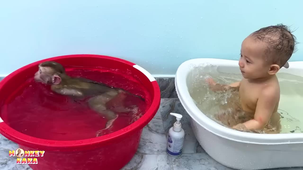 Funny baby and funny monkey 🎭