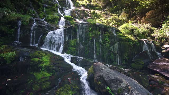 waterfall / The fall of river water from a high place onto solid and soft rocks such as erosion