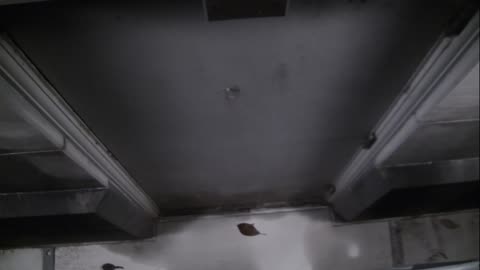 0921USCG00HT18Exterior_2021-01-06_17h20min02s070ms.mp4