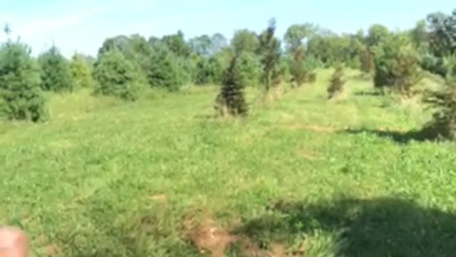 Touring our evergreen farm in Fountainville pa