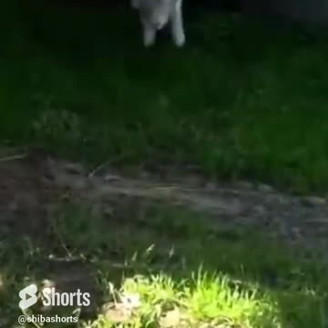 Sometimes you just got to dance