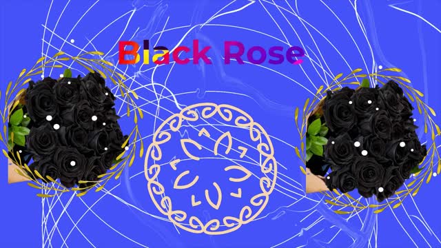 Black Rose For Valentines Day