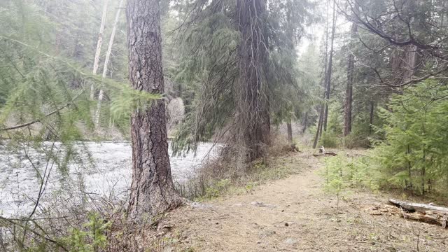 Rock Obstruction Causes White Water in Metolius River – Central Oregon – 4K