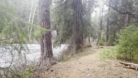 Rock Obstruction Causes White Water in Metolius River – Central Oregon – 4K