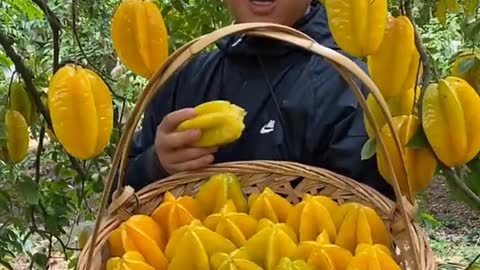 Farm Fresh Ninja Fruit Cutting Desi Satisfying Fruit Ninja Fruit Ideas | Amazing Fruits Video