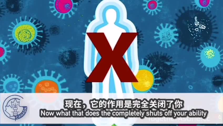 自然療法醫生解釋前兩針疫苗如何讓你白血球降低及第後續加強針的效果
