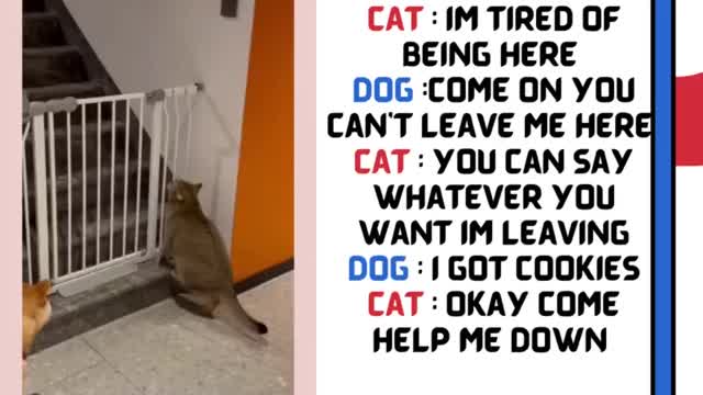 Funny Conversion ( must watch )