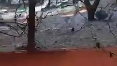A passenger plane carrying 62 people has crashed on the outskirts of São Paulo, Brazil.
