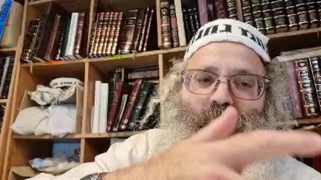 רב פפא פרה אתא לאשמועינן אמר ליה רב פפא שאולה אתא לאשמועינן - שיר נ נח מסכת כתובות דף לד
