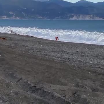 Man with green boogie board knocked down by wave