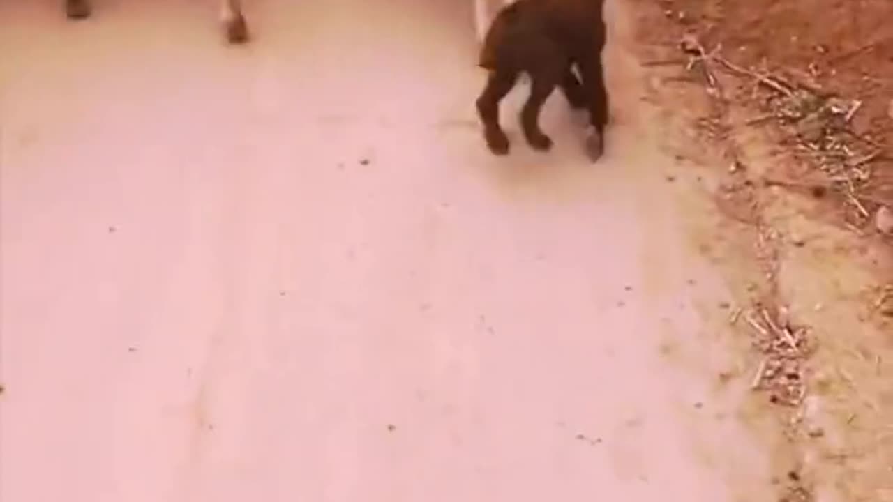 First Day On The Job