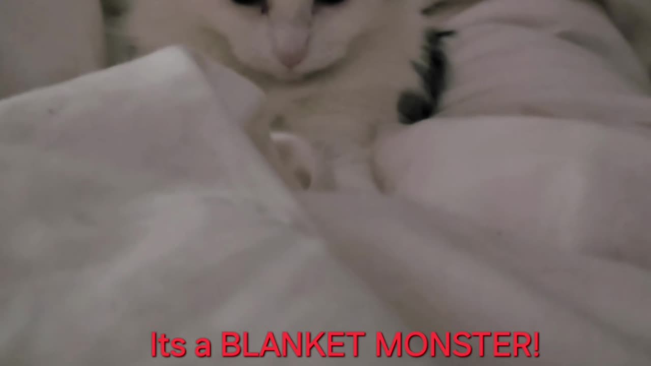 Blanket Monster