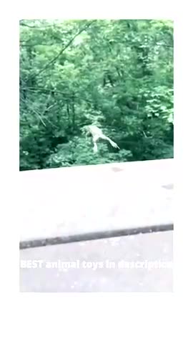 420's CLIP OF THE DAY AUGUST 28, 2024