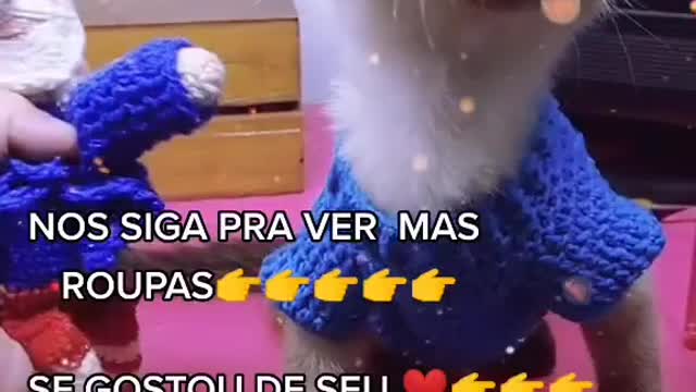 Cat Ninha TIKTOK e crochet