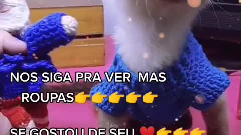 Cat Ninha TIKTOK e crochet