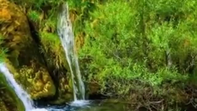 Nature scenery video