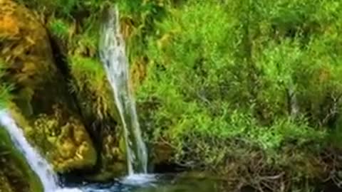 Nature scenery video
