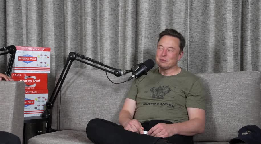 Elon musk jokingly says he wants to challenge Putin in a UFC fight