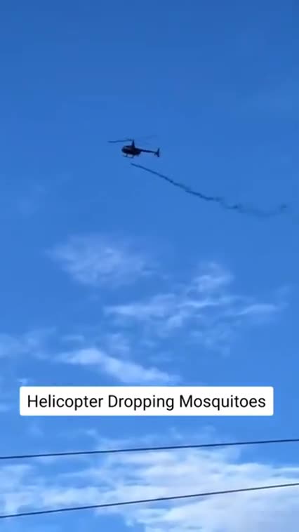 ALL BLACK HELICOPTERS 🚁🦟 AIR-DROPPING INFECTED MOSQUITOES❗