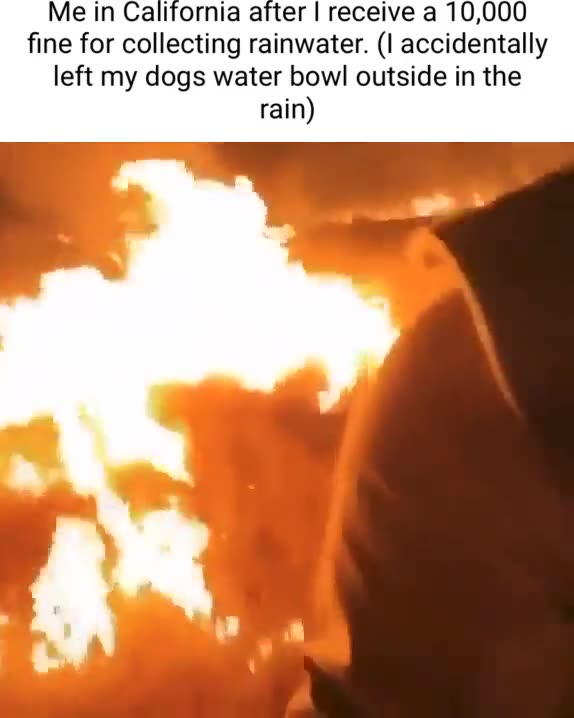 How All the ''Wildfires'' Are Starting